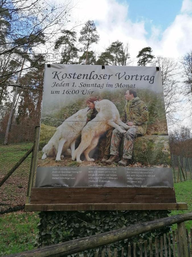 Ferienwohnung Am Wolfsweg メルツィッヒ エクステリア 写真